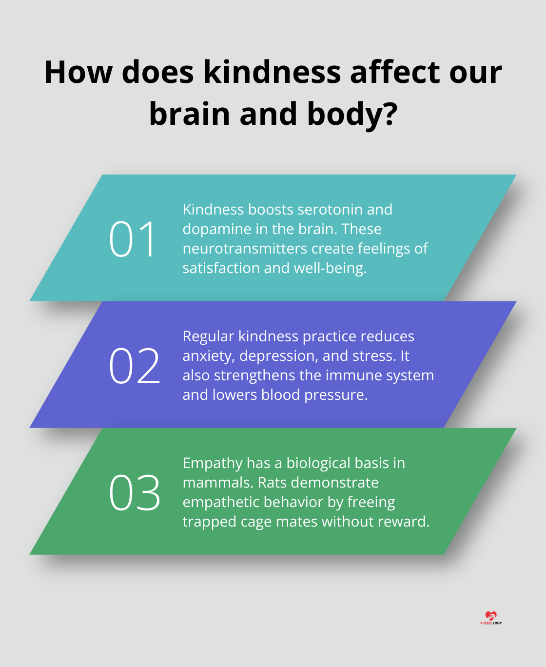 Infographic: How does kindness affect our brain and body?