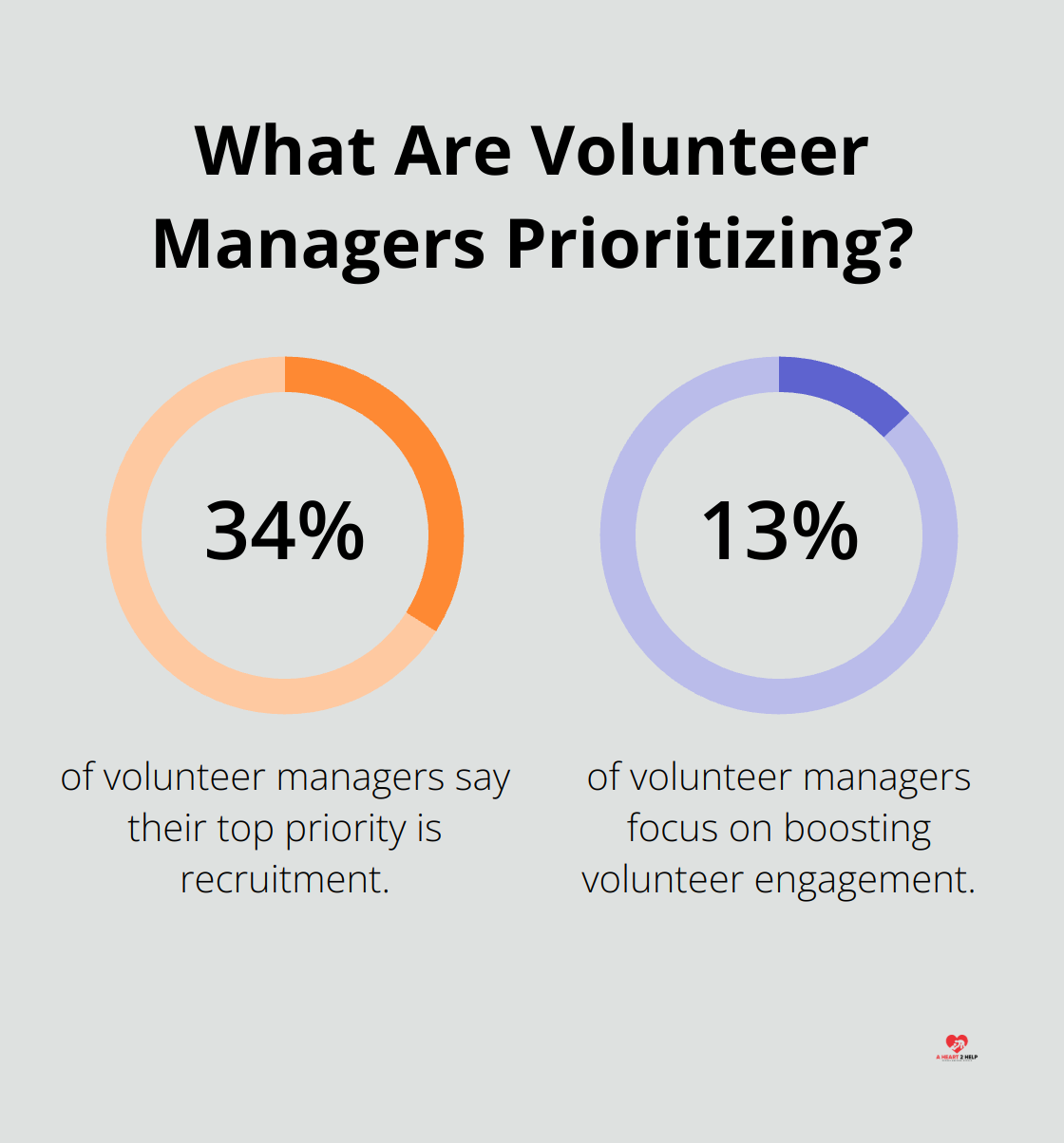 Infographic: What Are Volunteer Managers Prioritizing? - micro-assistance